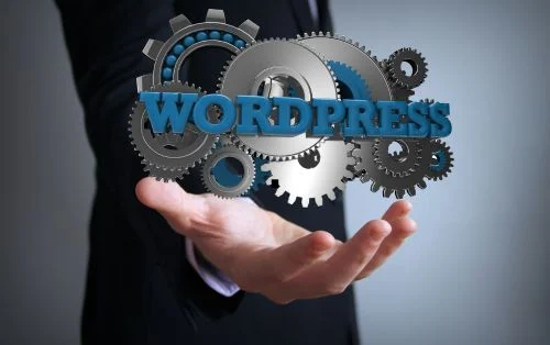 wordpress specialist image